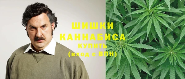 a pvp Белокуриха