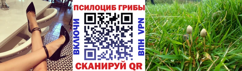 Галлюциногенные грибы ЛСД  Кремёнки 