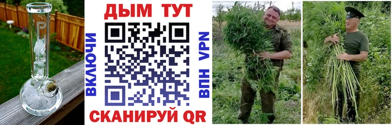 Каннабис сатива  Кремёнки 